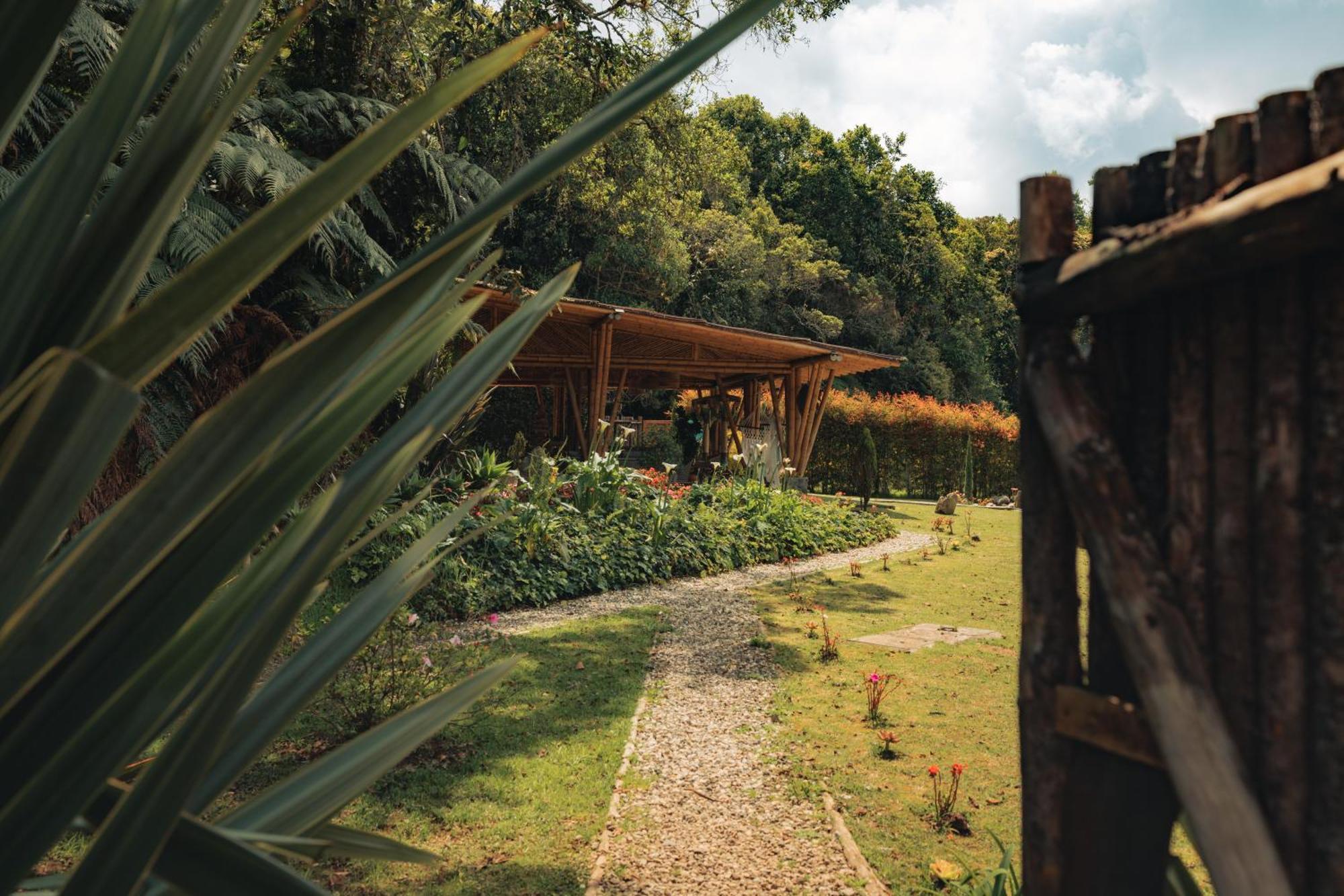 Hotel Bubblesky Glamping 15 Min From Medellin Rionegro Zewnętrze zdjęcie