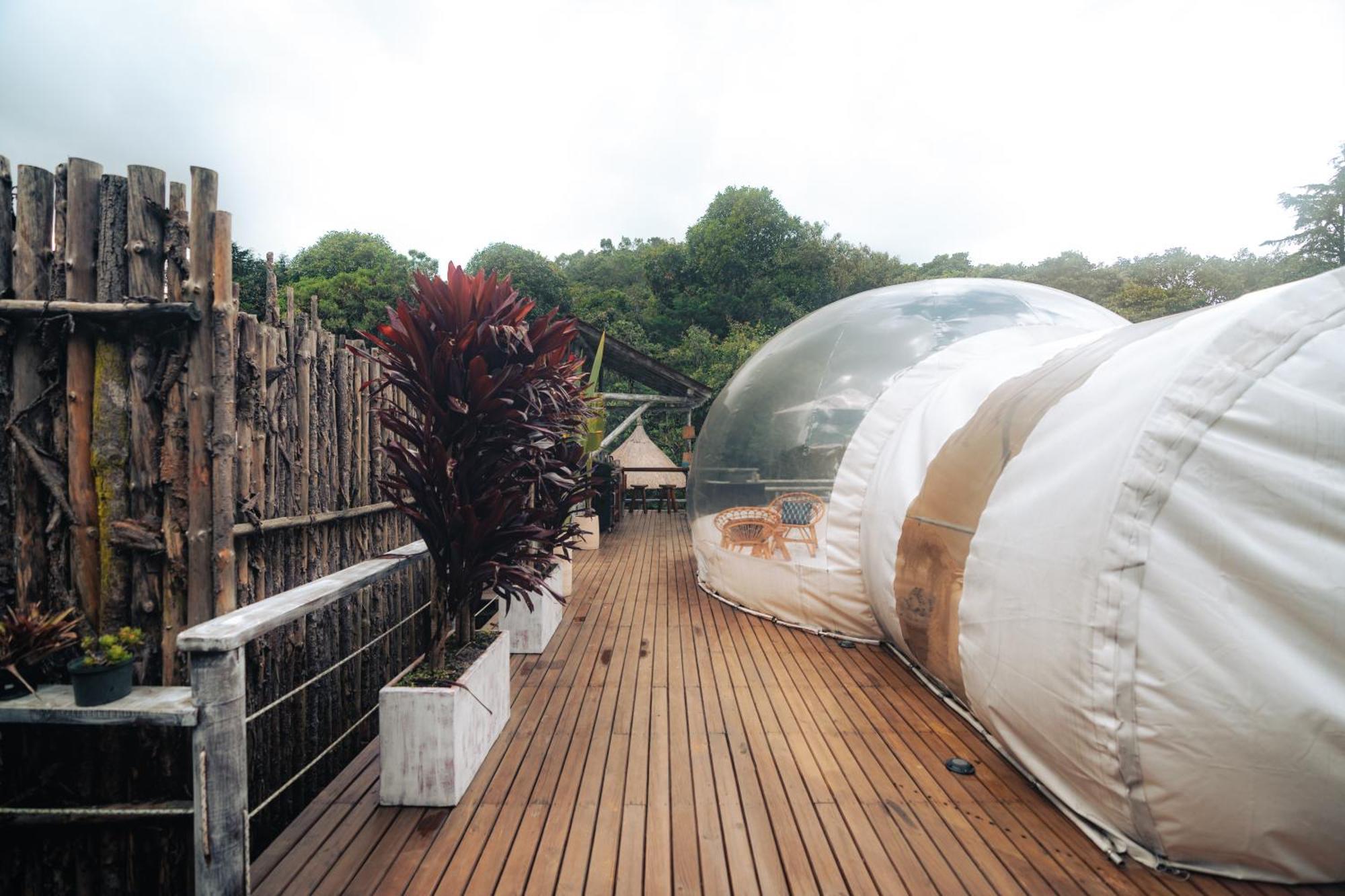 Hotel Bubblesky Glamping 15 Min From Medellin Rionegro Zewnętrze zdjęcie